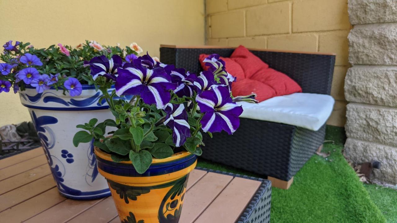 Sleeping Sarria Hotel Bagian luar foto